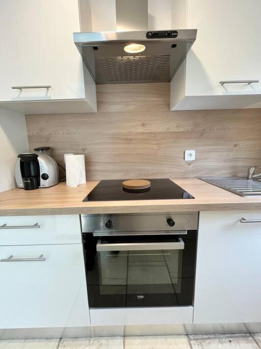 Appartement Renove - Wifi - Jardin - Centre De Niort Dış mekan fotoğraf